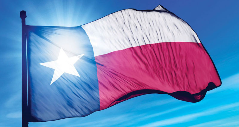 Texas Flag